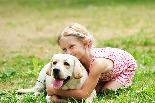 Little girl hugging Labrador lying on grass
